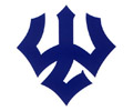 华盛顿与李大学